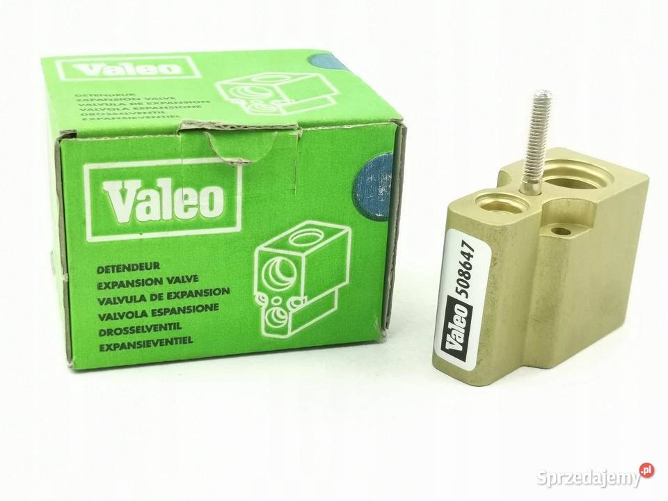 ZAWÓR ROZPRĘŻNY KLIMAYZACJI VALEO RENAULT MEGANE