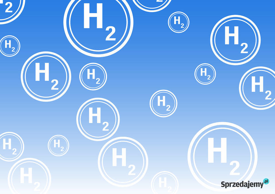 Reguła DNSH raporty DNSH pomoc raport Wrocław