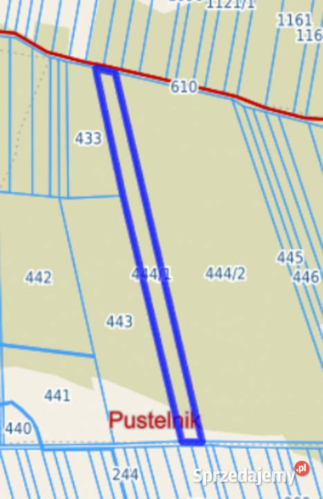 Las sosnowy 50letnipastwiska 9111 m Pustelnik