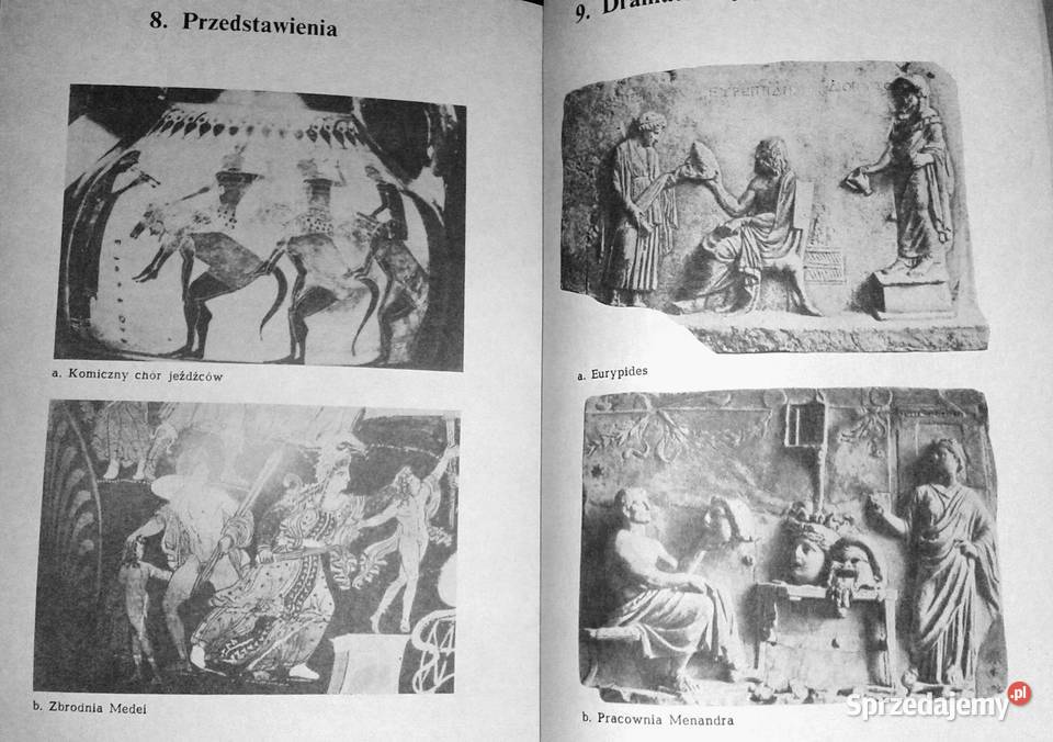 Literatura Grecji starożytnej w zarysie Jerzy lubelskie Chełm sprzedam
