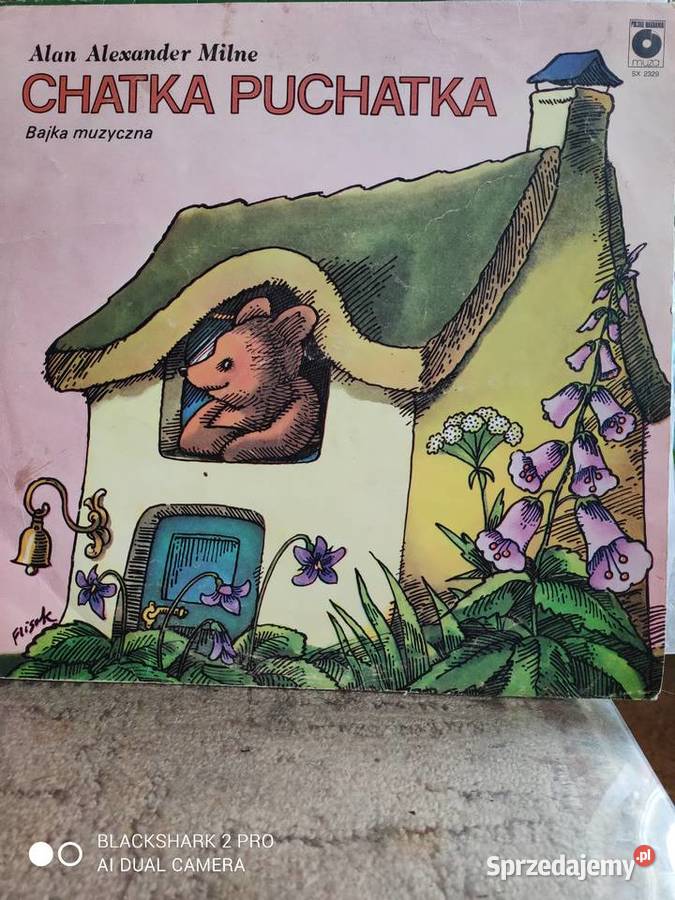 Miś świata Chatka Puchatka na taśmie Stargard sprzedam
