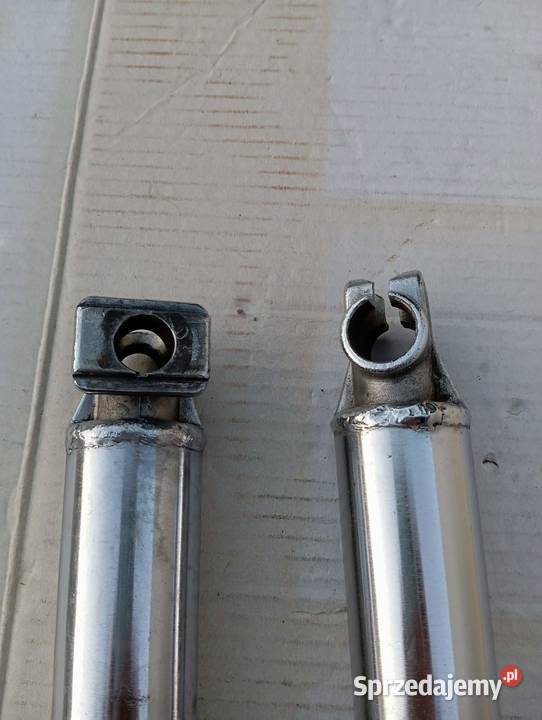 GOLENIE LAGI POCHWY IŻ PLANETA JUPITER