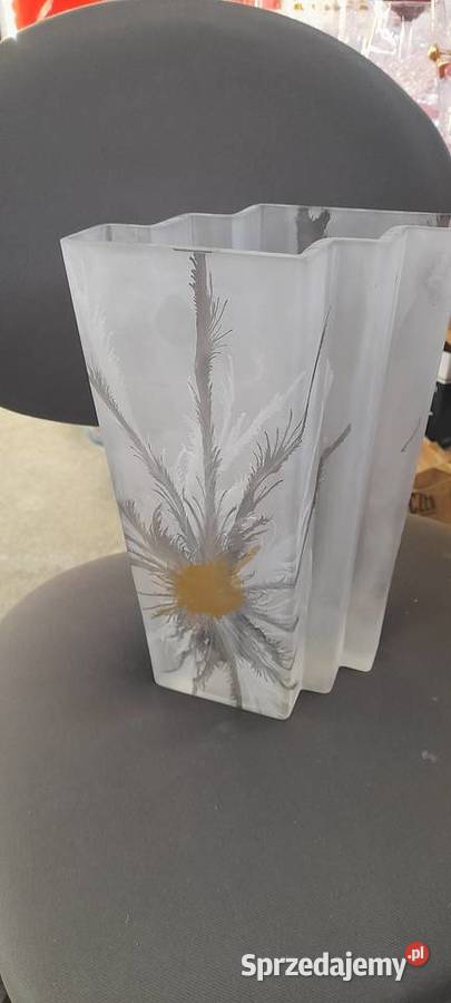 Wazon Jodła Czechy Warszawa