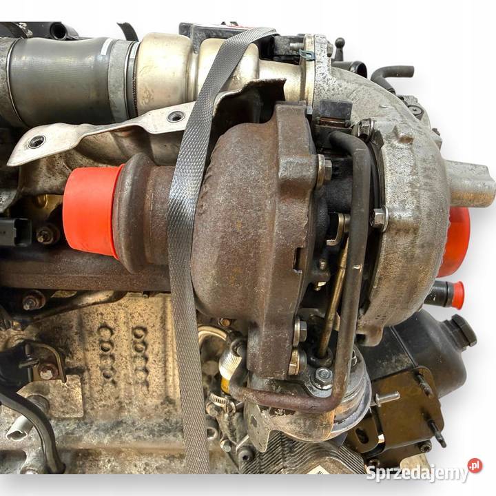 SILNIK T3DB Ford Focus III C C II 16 TDCI 95 osobowe Chełm