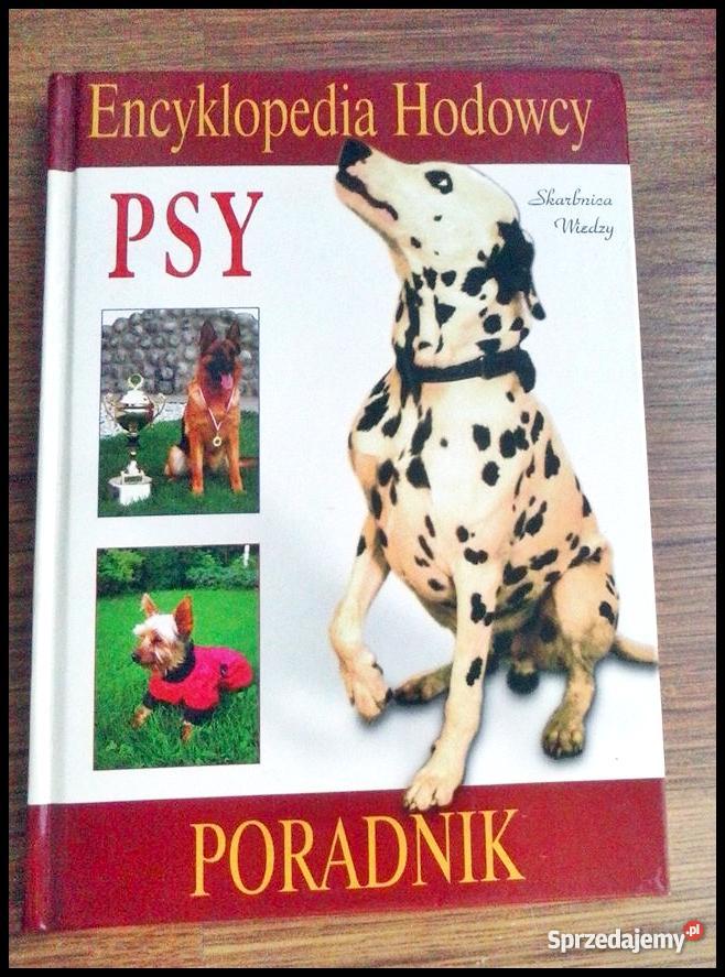 Psy Kudłate Sprzedajemypl