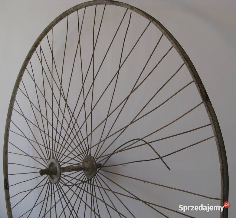 Koło bicykl Średnica 123