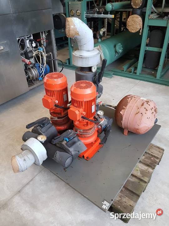 Pompa wody pompy wody Salmson LRC 206134 Niedźwiedź