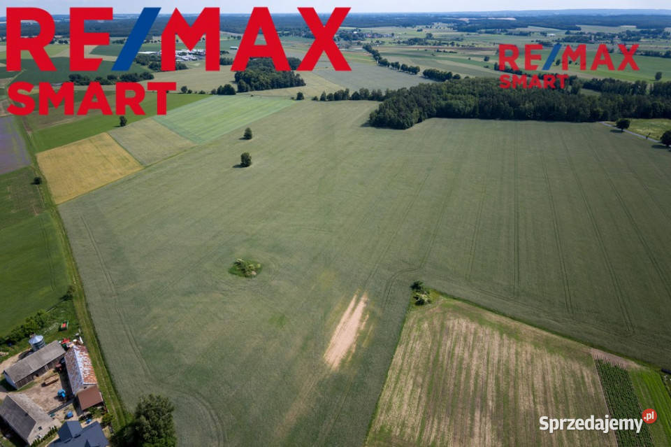 901 ha MPZP produkcja logistyka 1 S7