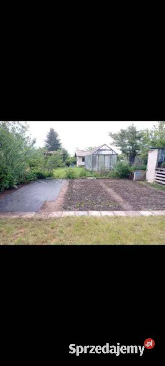 Działka Ogród Koszalin drzewa owocowe zachodniopomorskie