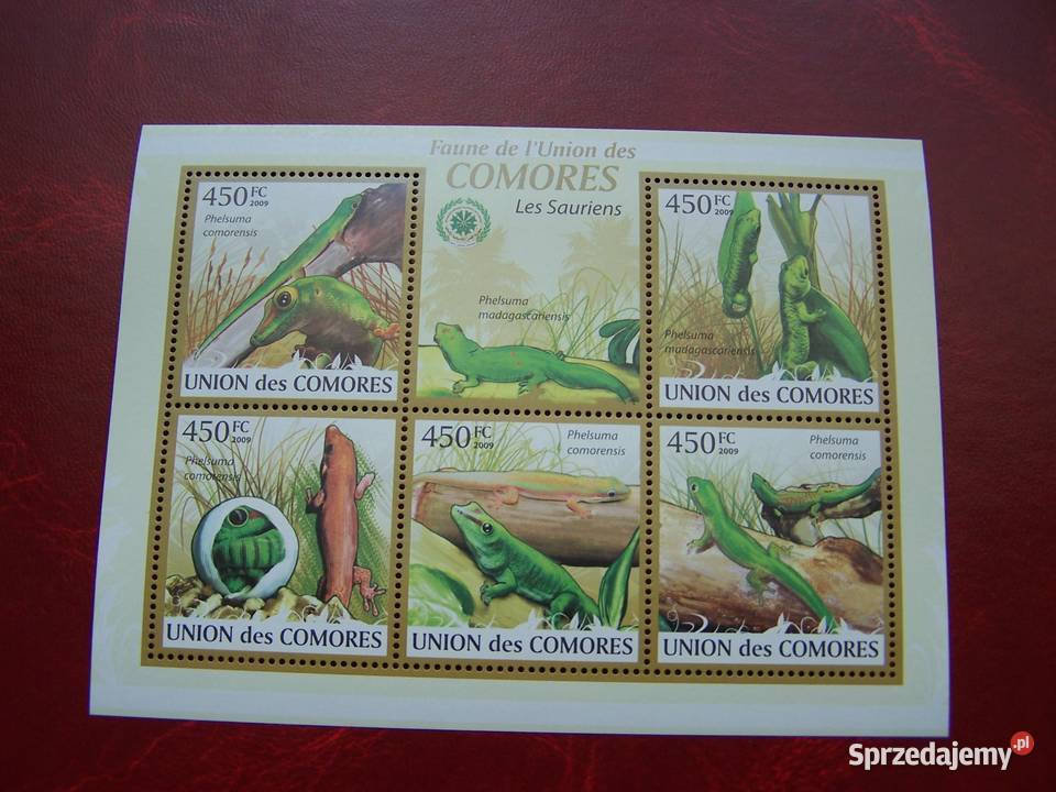 Komory 2009 MNH Zwierzęta Jaszczurki Tychy