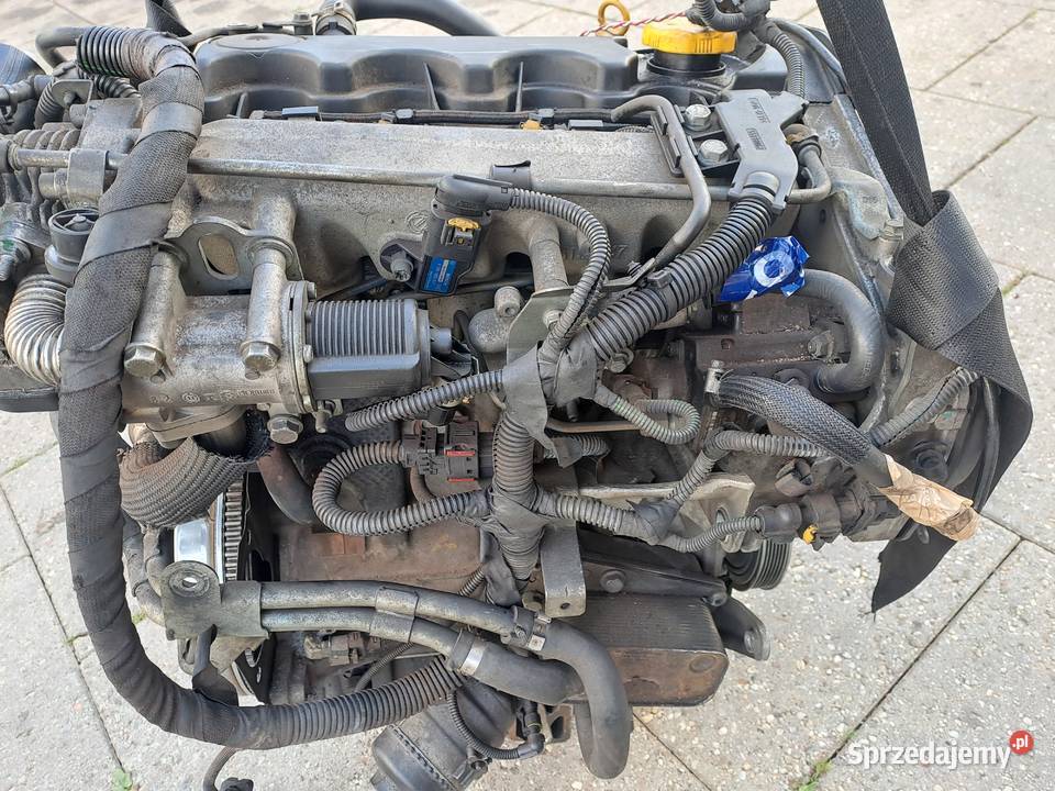 Opel astra H Zafira B Vectra C 19 CDTi 100 śląskie Jastrzębie-Zdrój