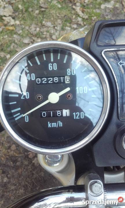 Motorower Toros El Clasico Skaryszew