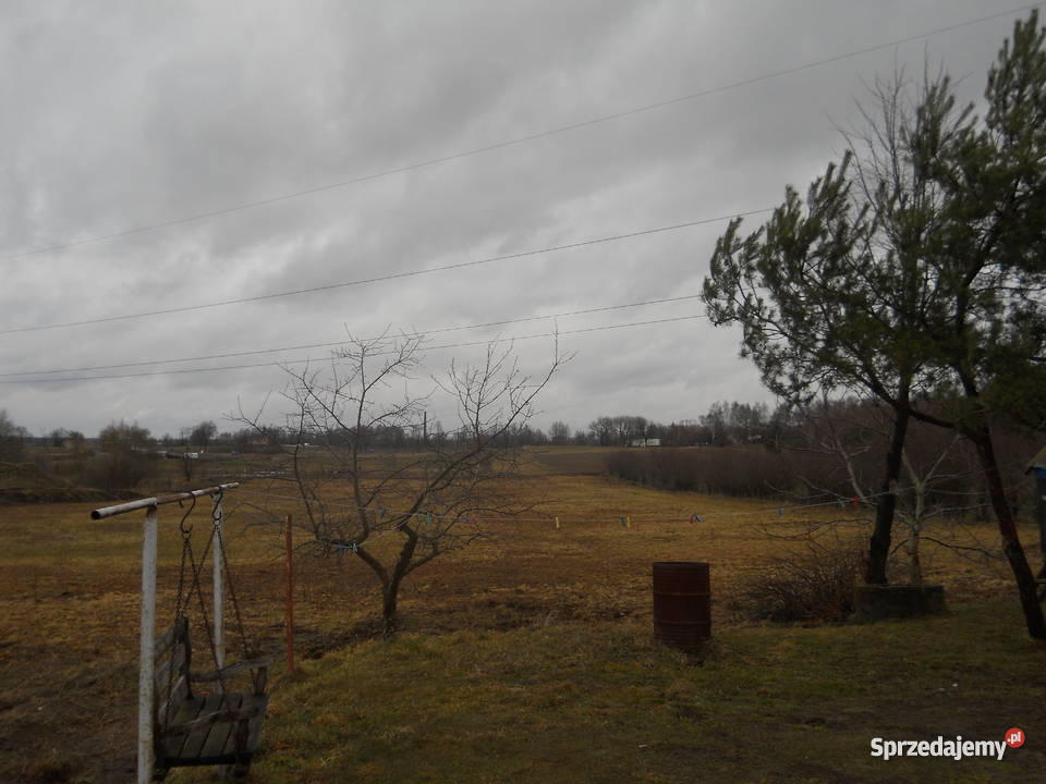 dom z działką pod Mławą mieszkalny Trzcianka-Kolonia sprzedam