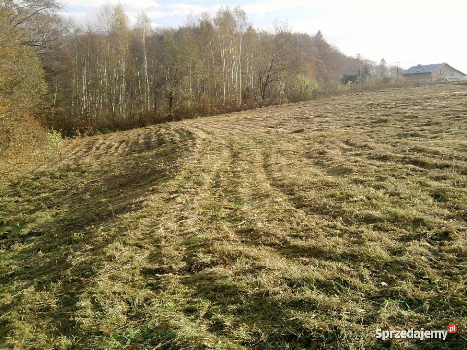 Działka budowlana 45a Dąbrówka Szczepanowska