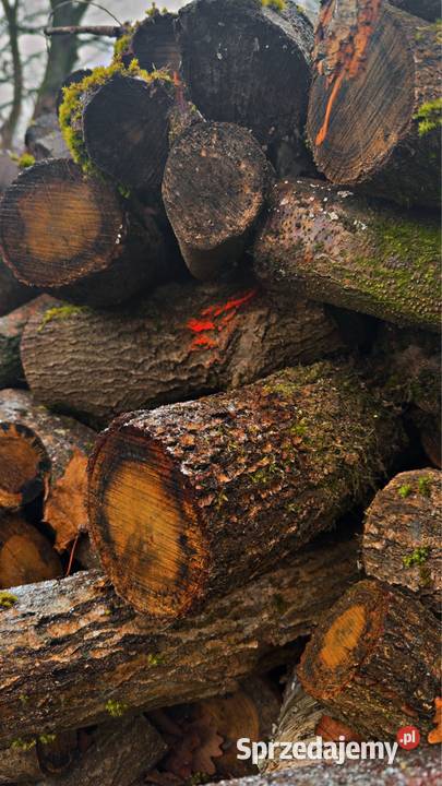 Gałeziówka Dom i Ogród zachodniopomorskie Szczecin sprzedam