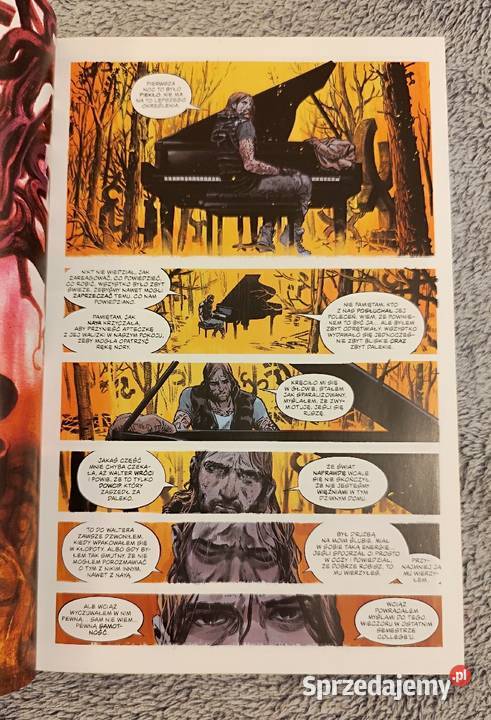 Miły Dom Jeziorem Tom 1 i 2 Tynion IV Bueno horror i groza Rybnik