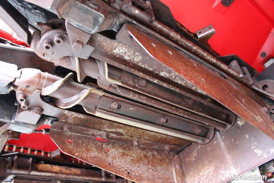 Geringhoff MSSC 600FL przystawka do kukurydzy Claas Maszyny rolnicze Sokoły