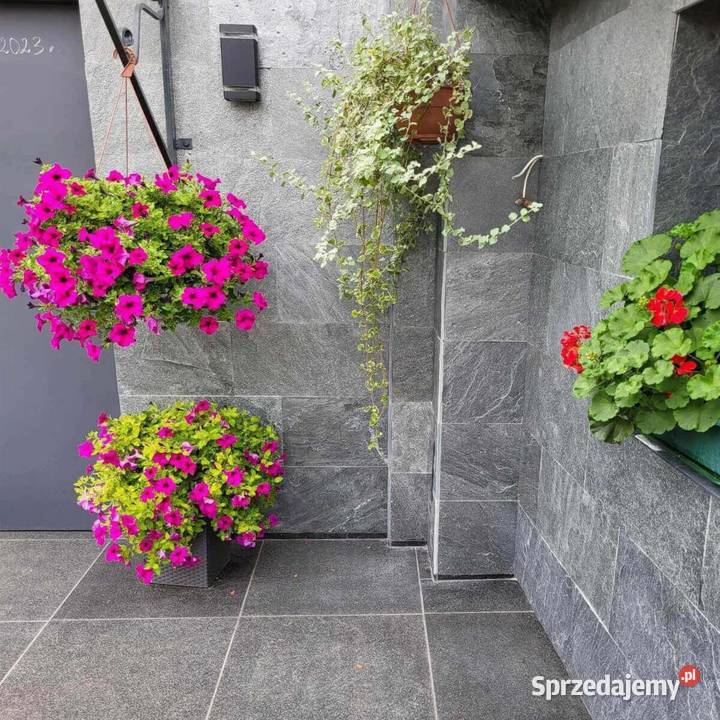 Płytki kwarcyt Silver Grey naturalny 80x40x12 pomorskie Rumia sprzedam