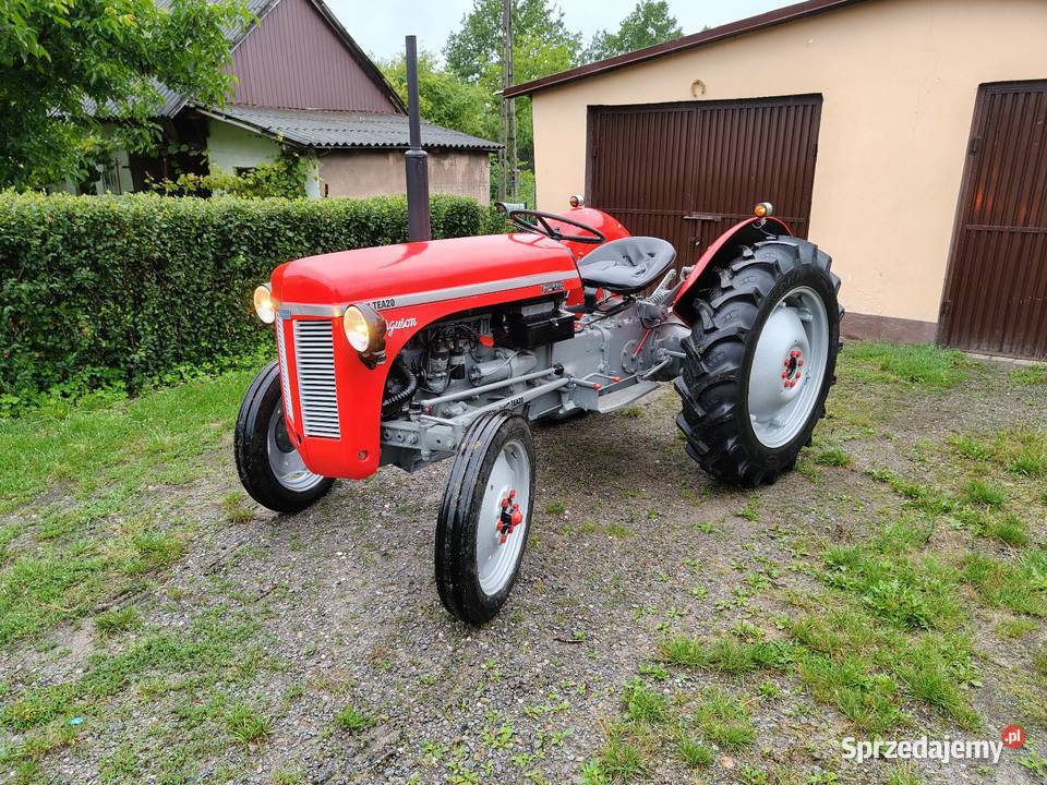 Ferguson tea20 z 1956r Gniewce sprzedam