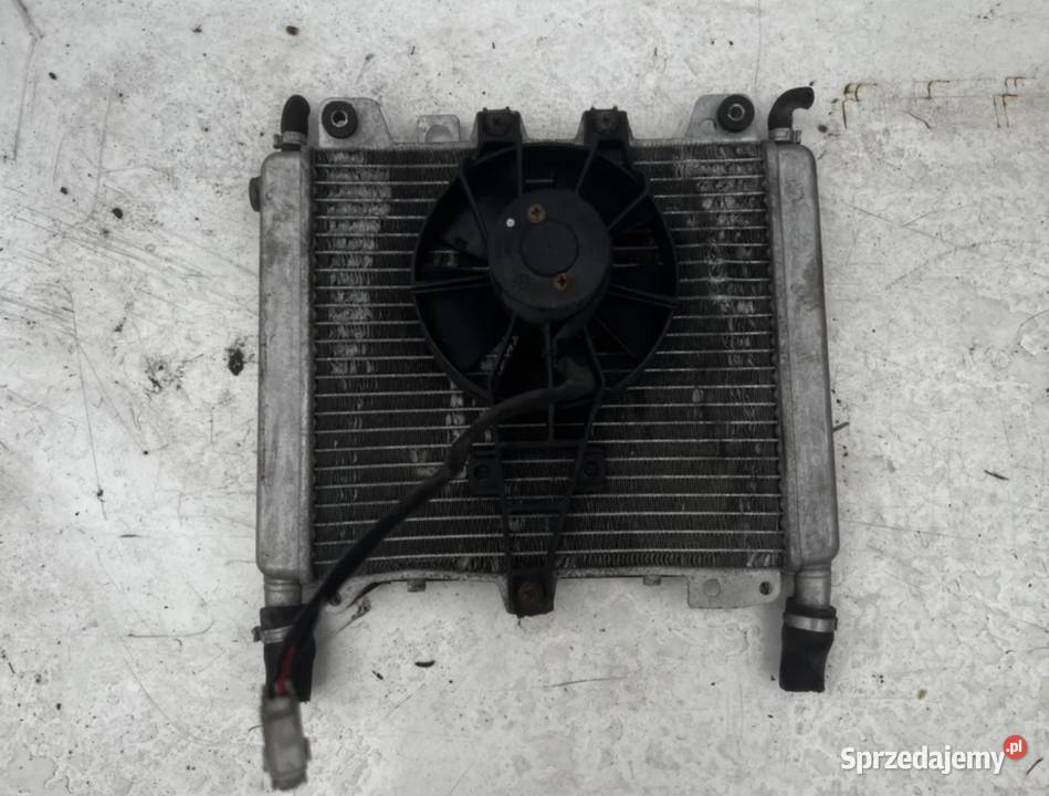 Chłodnica wentylator Gilera Nexus 125 2007r wielkopolskie