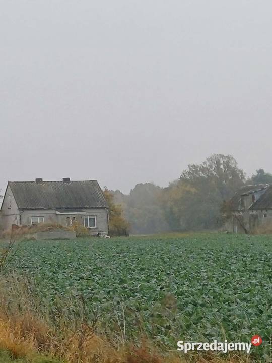 Sprzedam siedlisko z domem i budynkiem Białuty