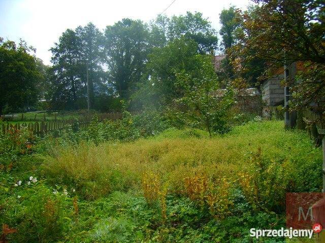 Dom wolnostojący 300m2 Stawno 1 piętro Stawno