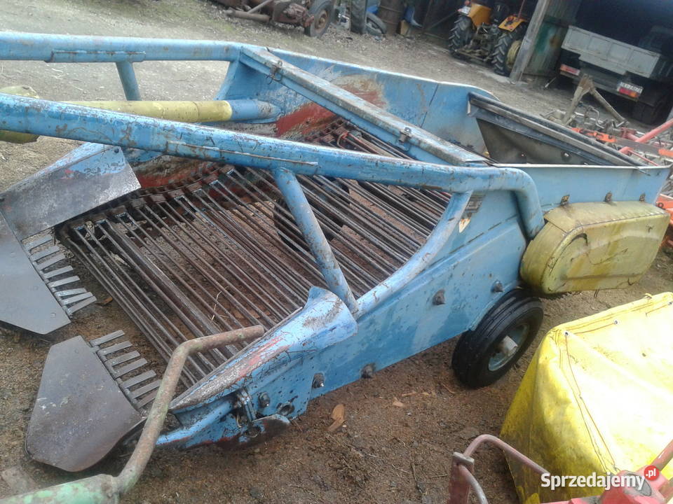 kopaczka do ziemniaków elewatorowa