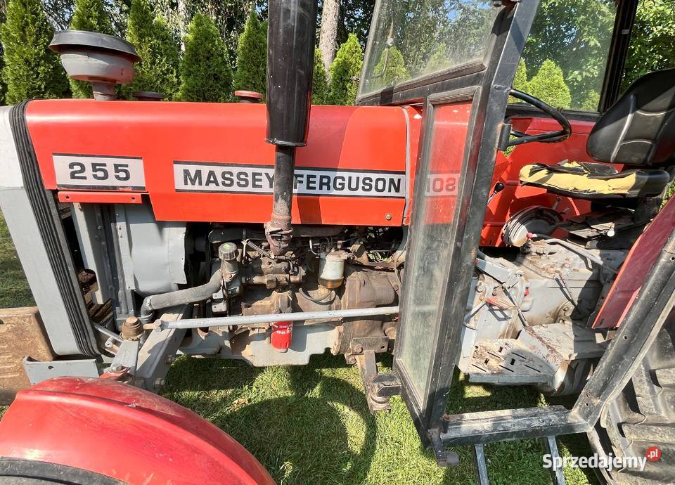 Massey Ferguson 255 MF Ursus ciągnik rolniczy podkarpackie Orły sprzedam