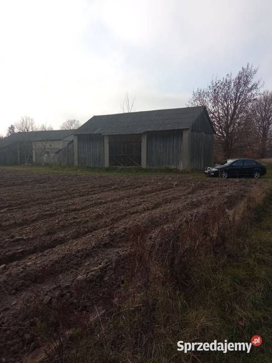 Siedlisko 042 hektara Parczew