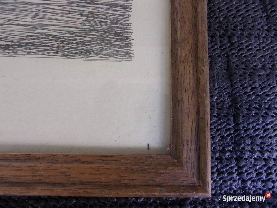 Ładna stylowa rycina wykonana piórkiem w Warszawa