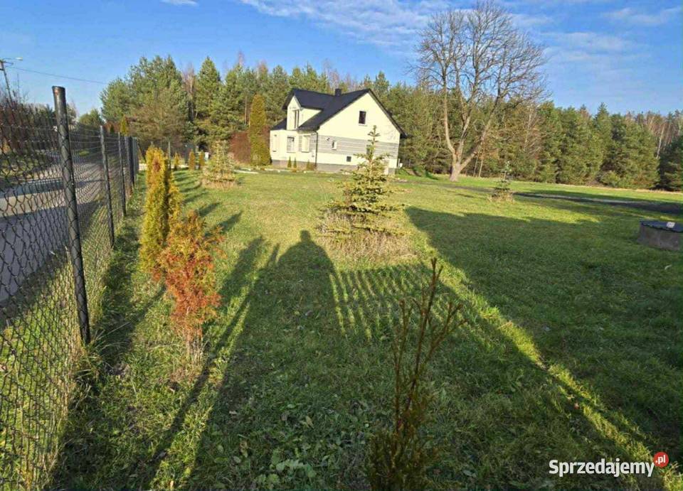 Dom siedlisko z dużym potencjałem dachówka Sprzedaż Kolonia Piaski
