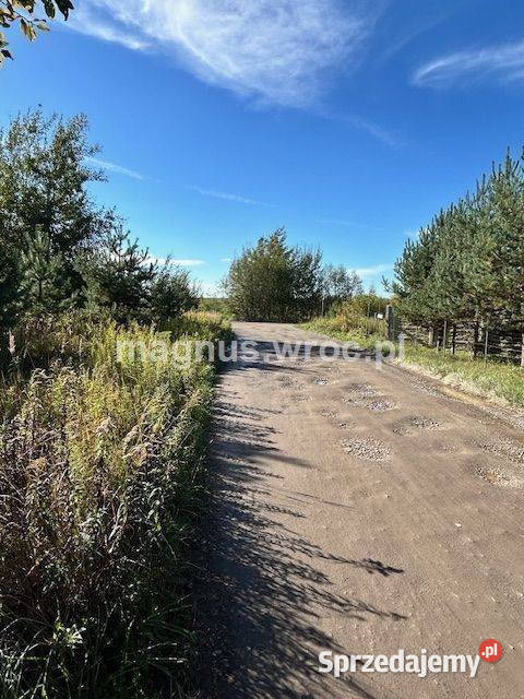 Duża działka na leśnym osiedlu w Miłoszycach 3423m2 Miłoszyce