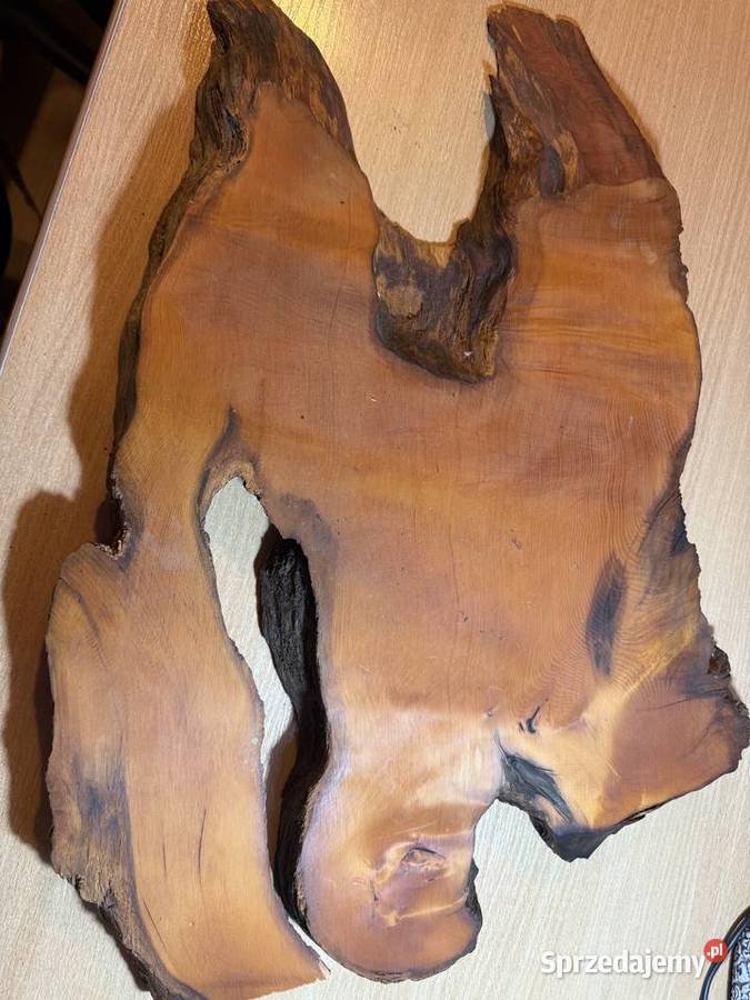 Plaster drewna Amboyna Wood Gliwice