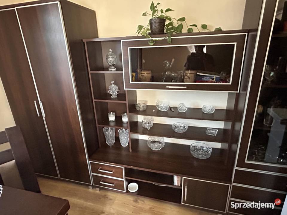 Komplet mebli do salonu Bełchatów