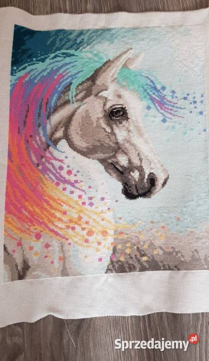 Haft krzyżykowy obraz koń RĘCZNIE ROBIONY Racibórz sprzedam