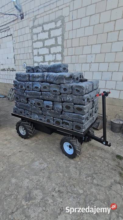 Elektryczny wózek platformowy 1000