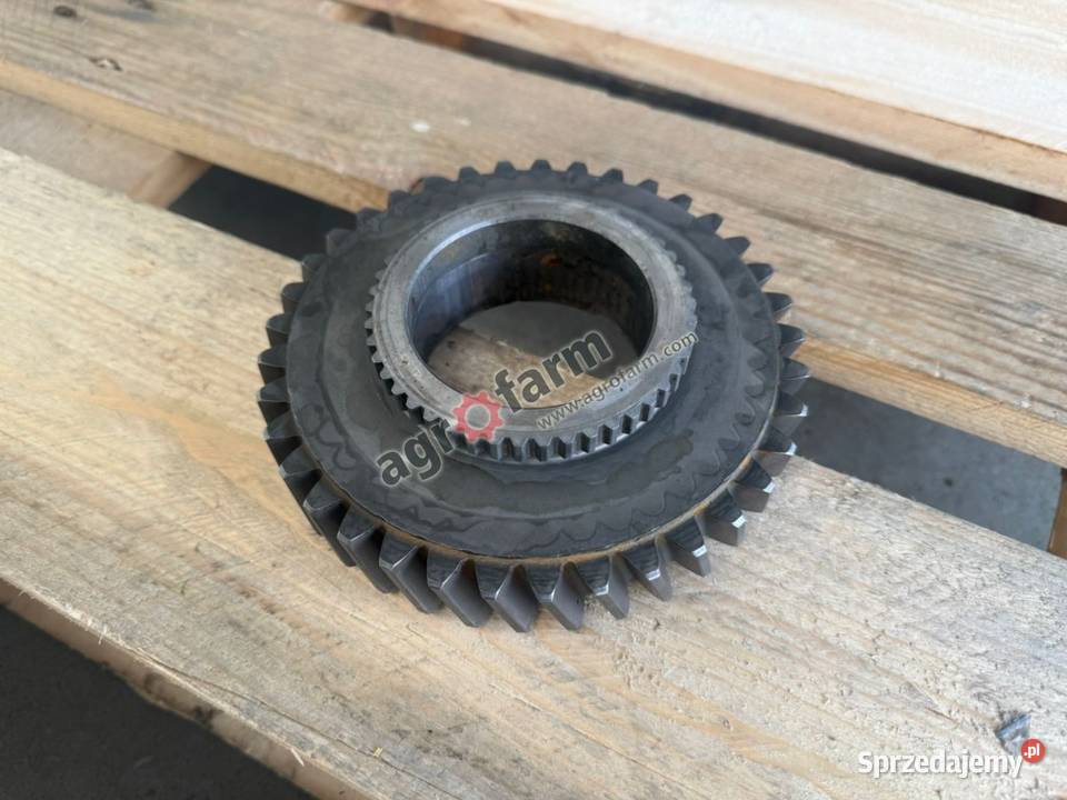 Koło zębate Z37 Holland dolnośląskie Byków