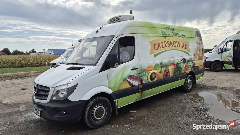 MERCEDES SPRINTER 313 CDI MAXI 2016 CHŁODNIA 2200cm3 śląskie Częstochowa