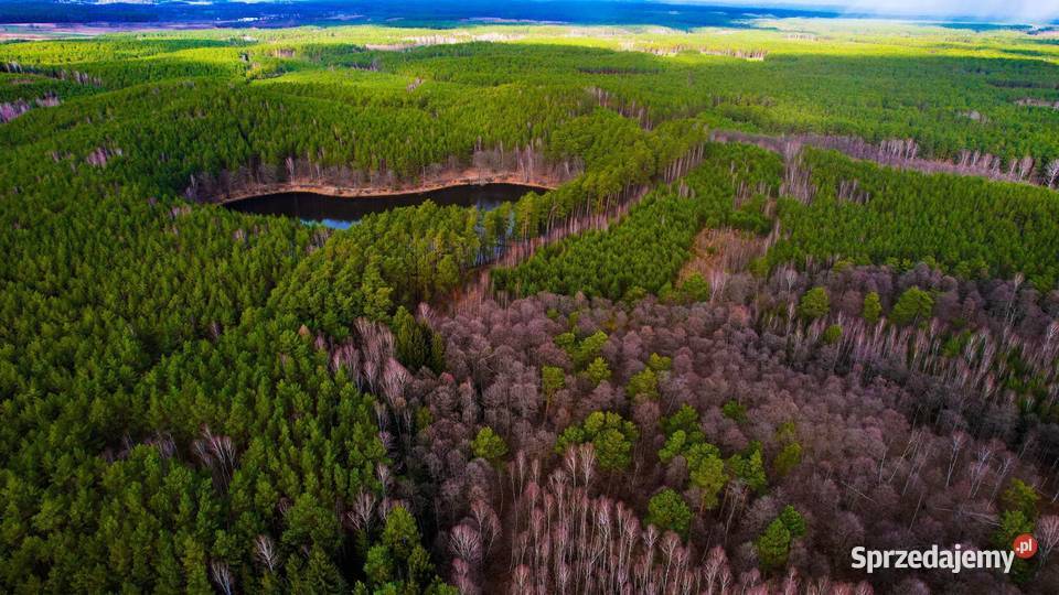 Usługi Dronem dron fotowideo obróbka zdjęć Gorzów Wielkopolski