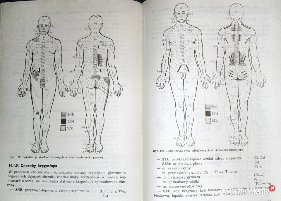 Podstawy masażu leczniczego Zygmunt Prochowicz lubelskie