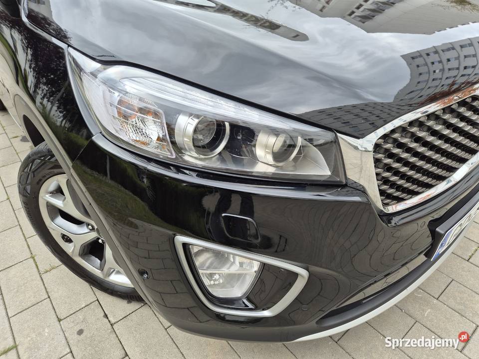 Kia Sorento 20 CRDI Business Line Plus 2016 Gdańsk