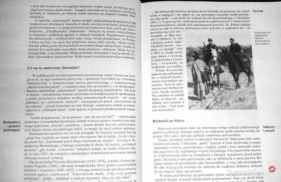 Pozytywizm Podręcznik szkół ponadpodstawowych Rok wydania 1999 Chełm