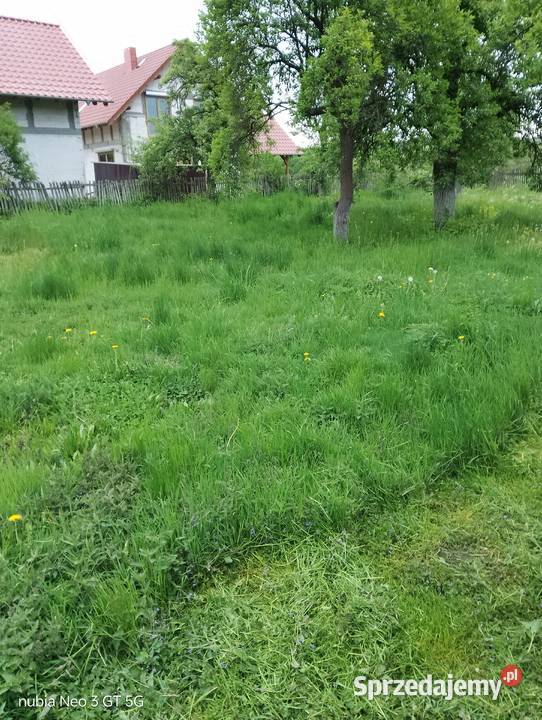 Koszenie kosą spalinową sprzedam