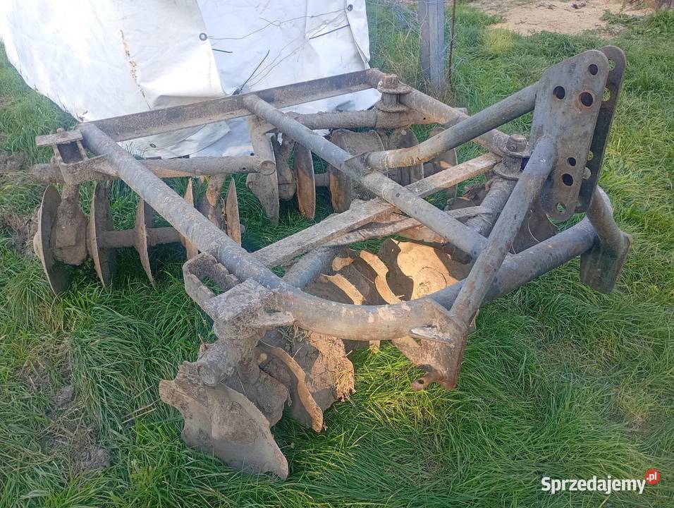 Talerzowka unia Grudziądz Babienica