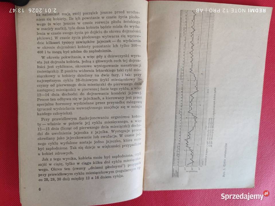 Czy jestem w ciąży dr Zb Sternadel PZWL 1973 r Katowice sprzedam