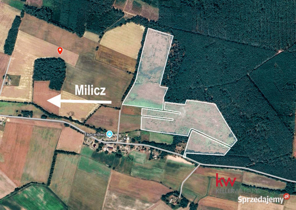 Grunt 16310 metrów Borzynowo rolna