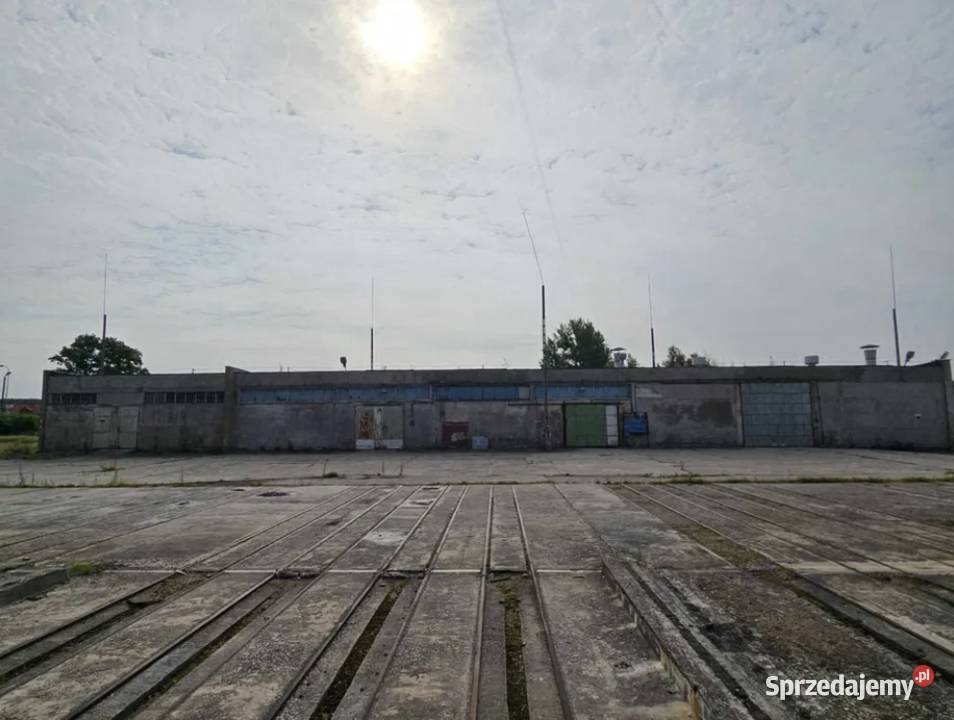 Hala Produkcja Magazyn Wynajem Czersk