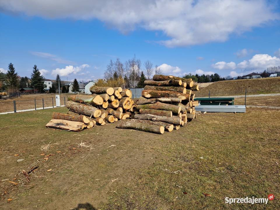 Drzewo opalowe Kotły i Piece CO