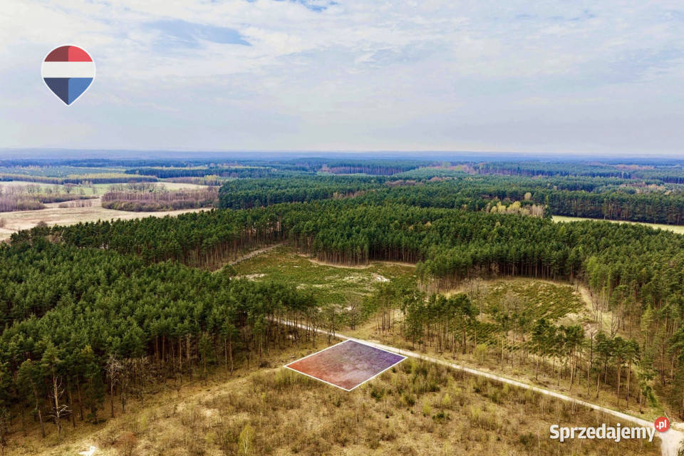 Działka budowlana w bezpośrednim sąsiedztwie 1200m2 Chocianowiec