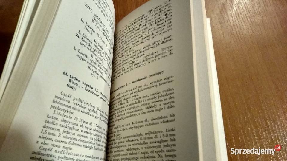 Siewki drzew i krzewów klucz do oznaczania pomorskie Gdańsk